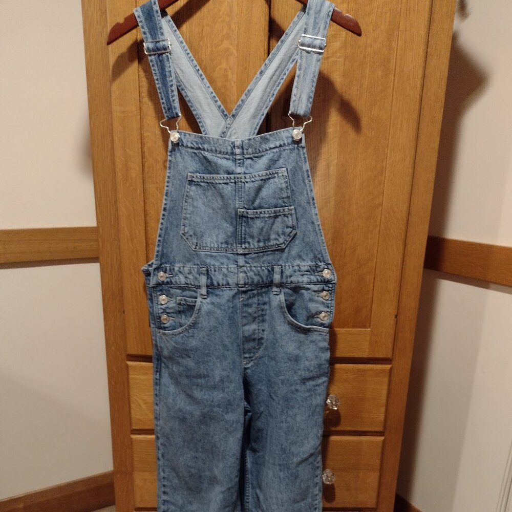 Free People We The Free Ziggy Overalls